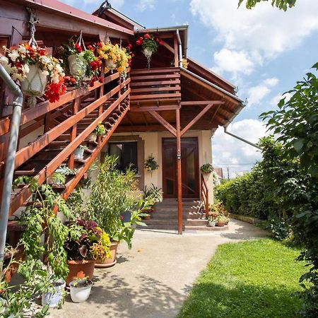 Pensiune Saroklak Sîncraiu Exterior foto